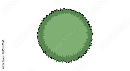 Billede på lærred Top view of a single round green bushy plant with a textured, detailed surface
