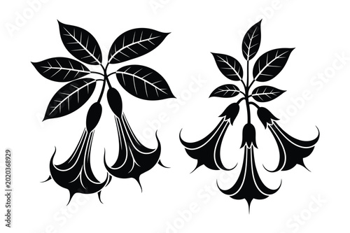 Foto Black silhouette vector illustrations of angel's trumpet flowers and leaves