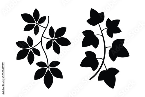 Photos Stylized botanical illustration of palmate and lobed leaves on branches