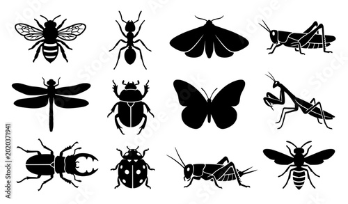 Bild auf Leinwand Nature and entomology insect bug silhouette vector icon set