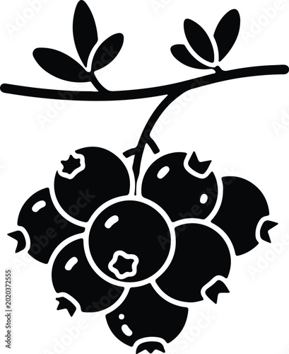 Silhouette design of fresh blueberries on a branch vector