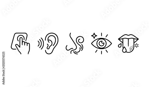 Tableau sur toile Human senses vector illustration touch hearing smell sight and taste
