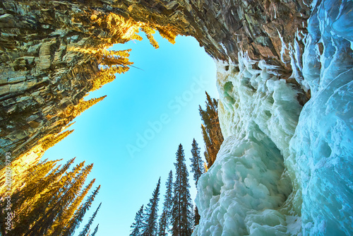 Obraz na plátne Frozen Waterfall Ice Formations and Pine Trees in Sunlit Winter Canyon