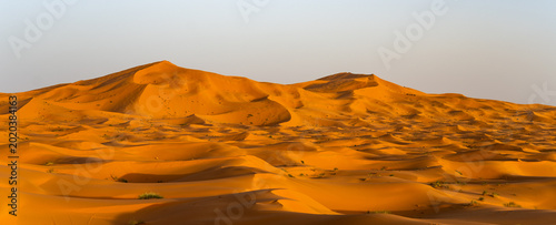 Waves of sand stretch across the horizon in Erg Chebbi near Merzouga, creating a look of natural patterns. The scene shows the beauty of the Sahara Desert during daylight.