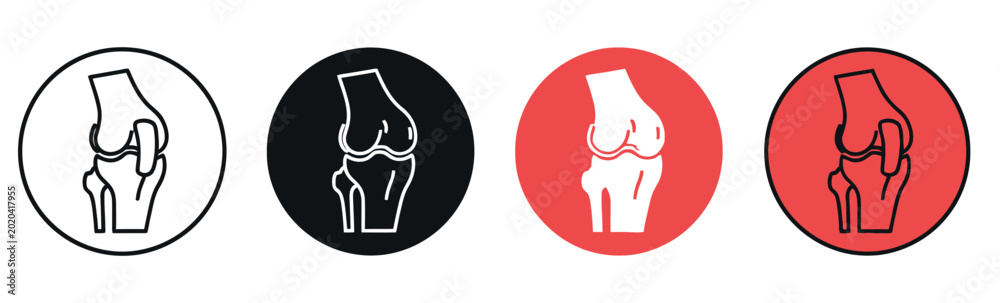 Fotografie Knee joint anatomy icons