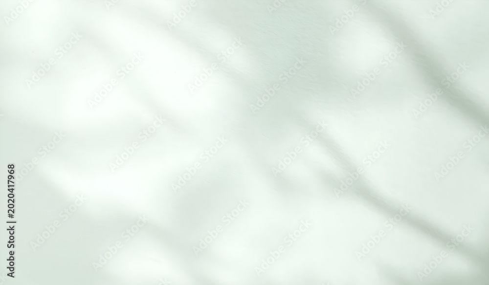 Fototapeta premium Soft Abstract Light and Shadow Background with Pastel Green Tone