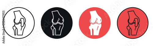 Fotografía Knee joint anatomy icons