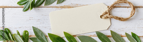 Elegant Greenery with Blank...