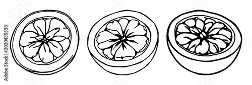 Foto Passion fruit half set with minimalist fruit illustration showing pulpy seed det