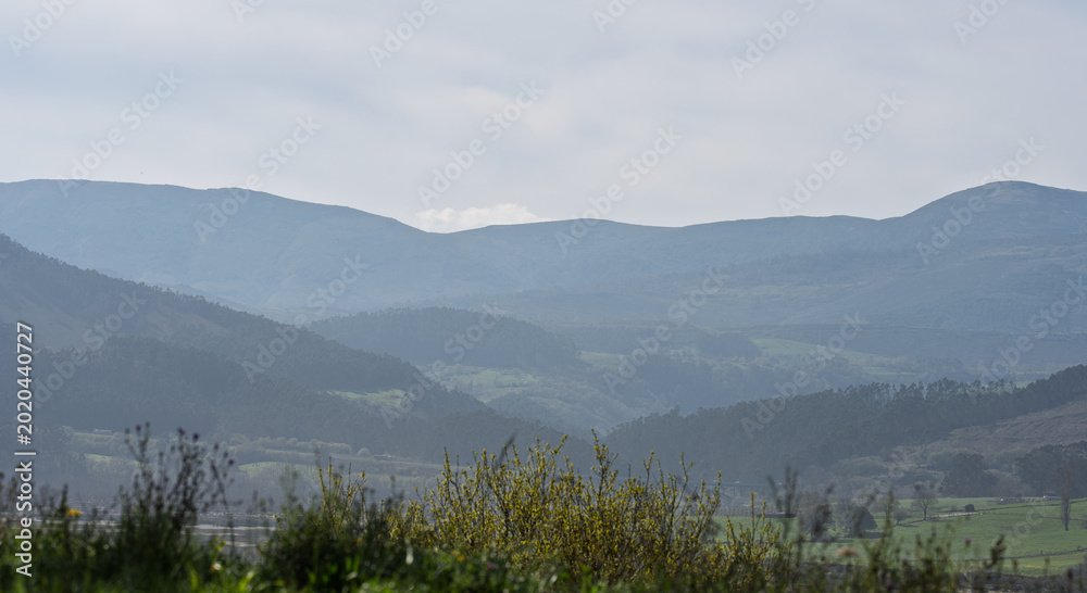 Obraz premium Misty Mountain Valley Landscape with Layered Hills