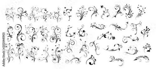 delicate floral vine swirl flourish decorative vector set