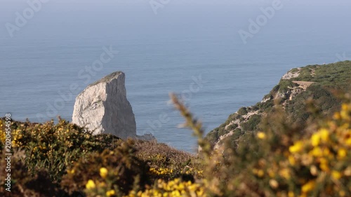 Scenic view of Ursa Beach and the Atlantic Ocean
