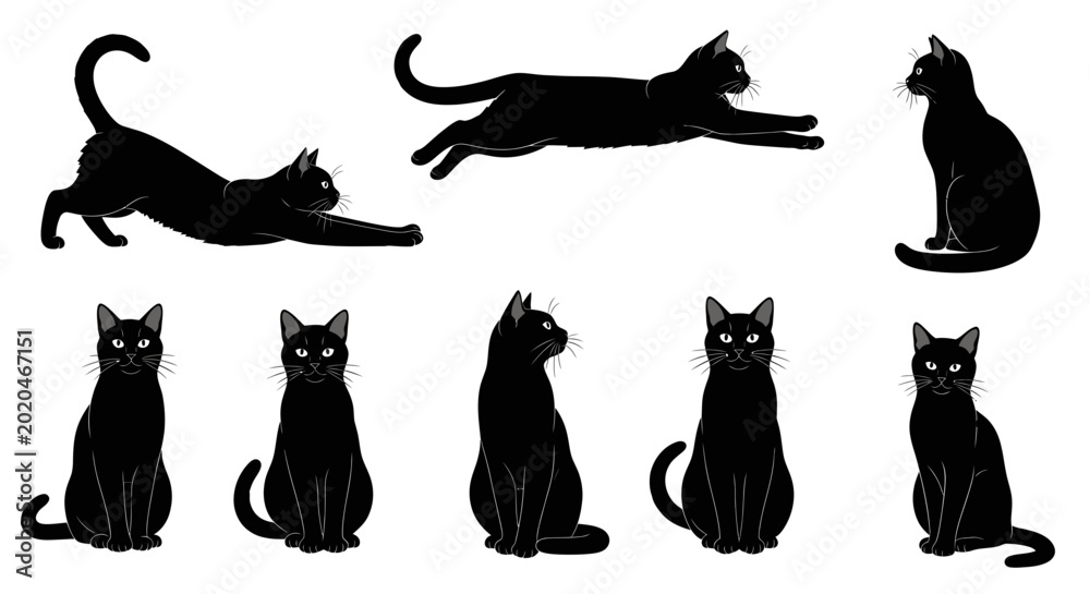 Φωτογραφία Black Cat Silhouettes Collection: Various Poses and Actions