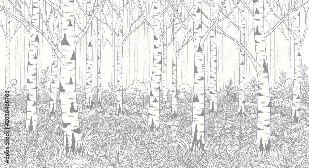 Φωτογραφία Birch Forest Line Art Illustration, Nature Coloring Page Background