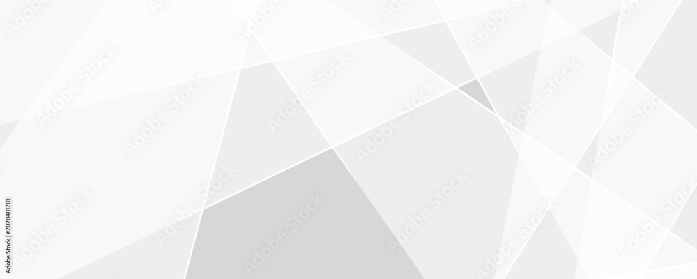 Fotografija PrintAbstract white and gray background