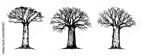 Foto Baobab tree set with vintage ink sketch drawing and thick textured trunk featuri