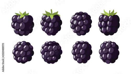 A collection of eight stylized illustrations of ripe blackberries with green leaves against a white background.