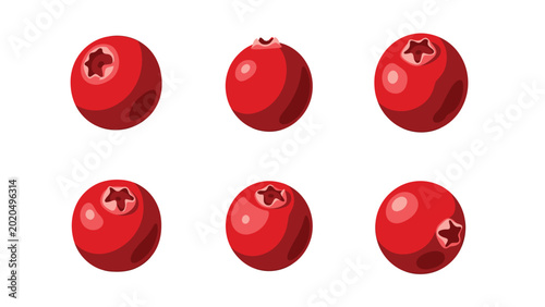Six vibrant red cranberries isolated on a white background, showcasing their glossy texture and star-shaped tops.
