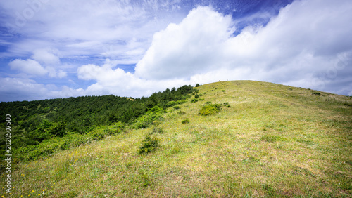 Fotografie Whenever spring came, a harsh wind would always linger! Unique landscape of Baekyaki-Oreum(small extinct volcano) in spring, Jeju Island, South Korea