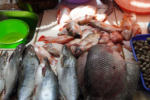 Tableau sur toile Fresh fish at a local market