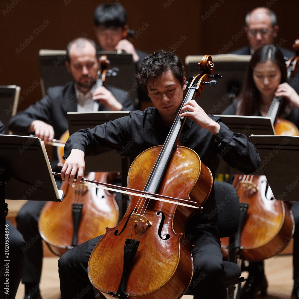 Fototapeta premium Pop Art Orchestra Ensemble. A Cello Player Performs With A Bow In A Classical Music Orchestra Capturing The Live Performance Of A Symphony Concert