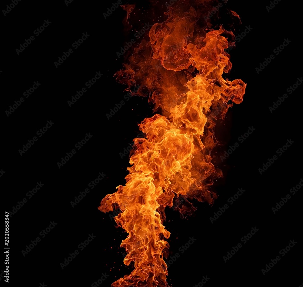 Fototapeta premium fire