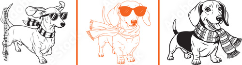 Dachshund dogs wearing scarves and sunglasses. Stylized illustrations for fashion and pet themes.