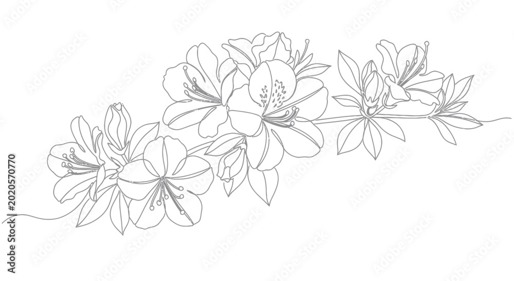 Fototapeta premium Elegant Azalea Flower Branch Line Art - Minimalist Botanical Illustration