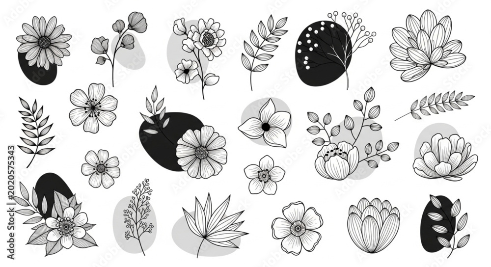 Fototapeta premium Hand Drawn Botanical Elements and Abstract Shapes Collection.