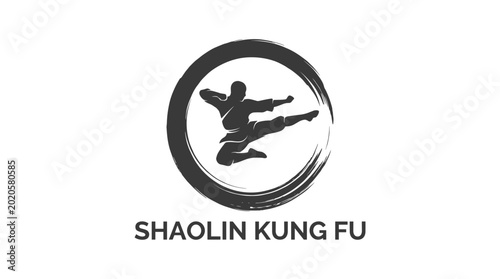 Shaolin Kung Fu martial arts silhouette performing a flying kick.