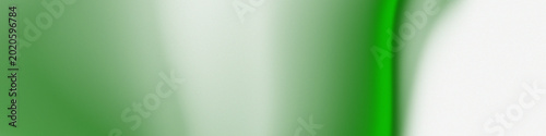 Bilde på lerret Sage green fading to white center with vivid bright green edge highlight gradien