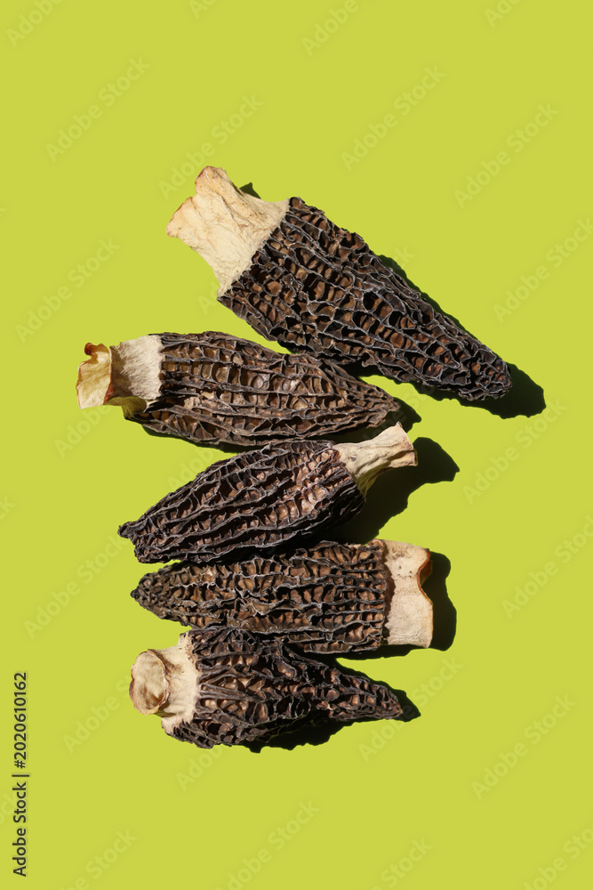 Obraz premium Dried morel mushrooms on green background.