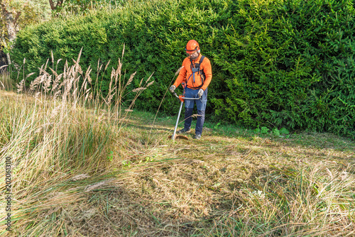 A worker wearing safety gear uses a brush cutter to trim tall grass in a field, showcasing landscaping maintenance. The man is using a string trimmer to cut the grass and weeds.
