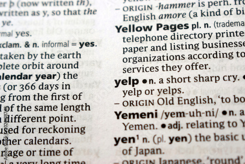 Canvastavla English Dictionary Page Close Up With The Word Definition Of - yelp