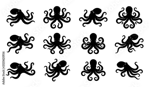 Tableau sur toile Octopus Silhouette Vector Set Marine Animal Illustration Collection