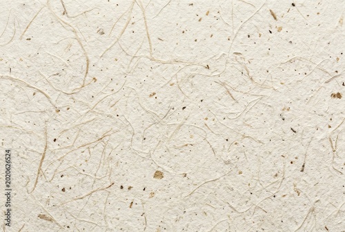 Textured Handmade Paper with Natural Fibers and Flecks.
