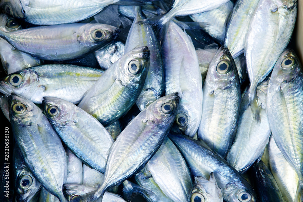 Obraz premium Fresh Silver Fish Piled Up for Sale in Market or Store Display