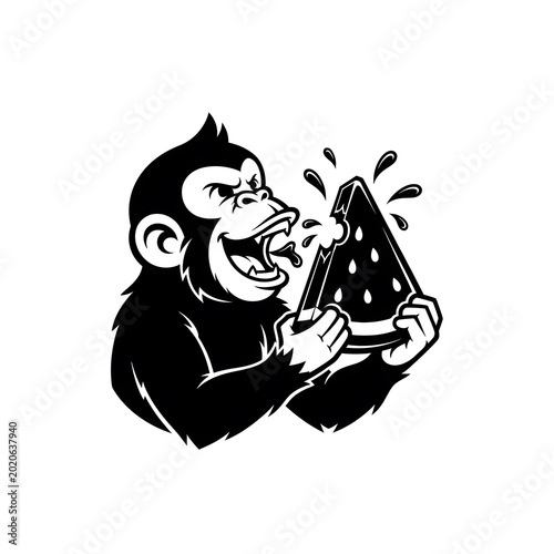 Photography Funny monkey eating a slice of fresh watermelon