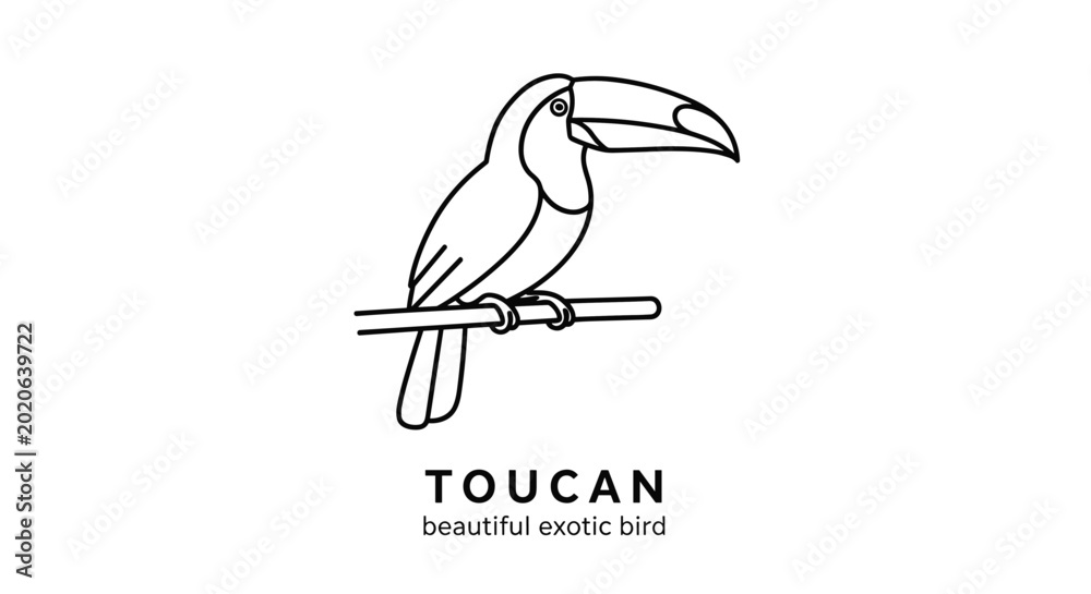 Fototapeta premium Exotic toucan bird with a large beak perched on a horizontal tree branch shown in a simple black and white outline vector design.