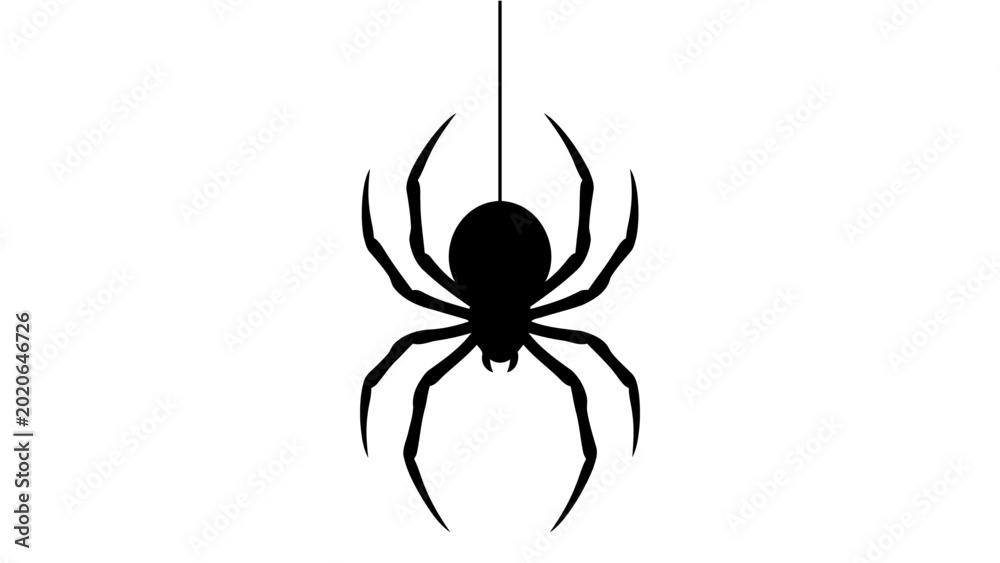 Fotografia Spider silhouette hanging from a thread on a white background