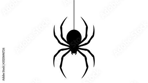 Photos Spider silhouette hanging from a thread on a white background