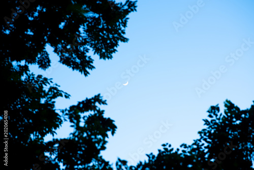 Schilderij op canvas Earth day and environment day concept to sustainability, crescent moon in blue s