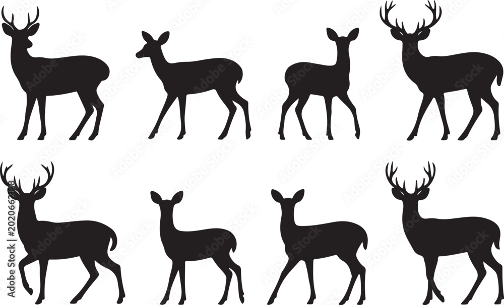 Fototapeta premium Roe deer silhouettes