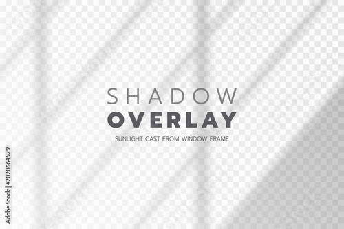 Fotografi Realistic sunlight window shadow overlay on transparent background for mockup, photo effect, graphic design, and natural light texture