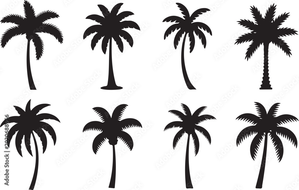 Fototapeta premium Set of palm trees. Collection of silhouette of palm tree. The contours of tropical plants. Black white illustration of coconut trees. Tattoo