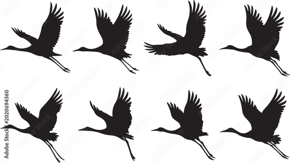 Naklejka premium Silhouettes of cranes