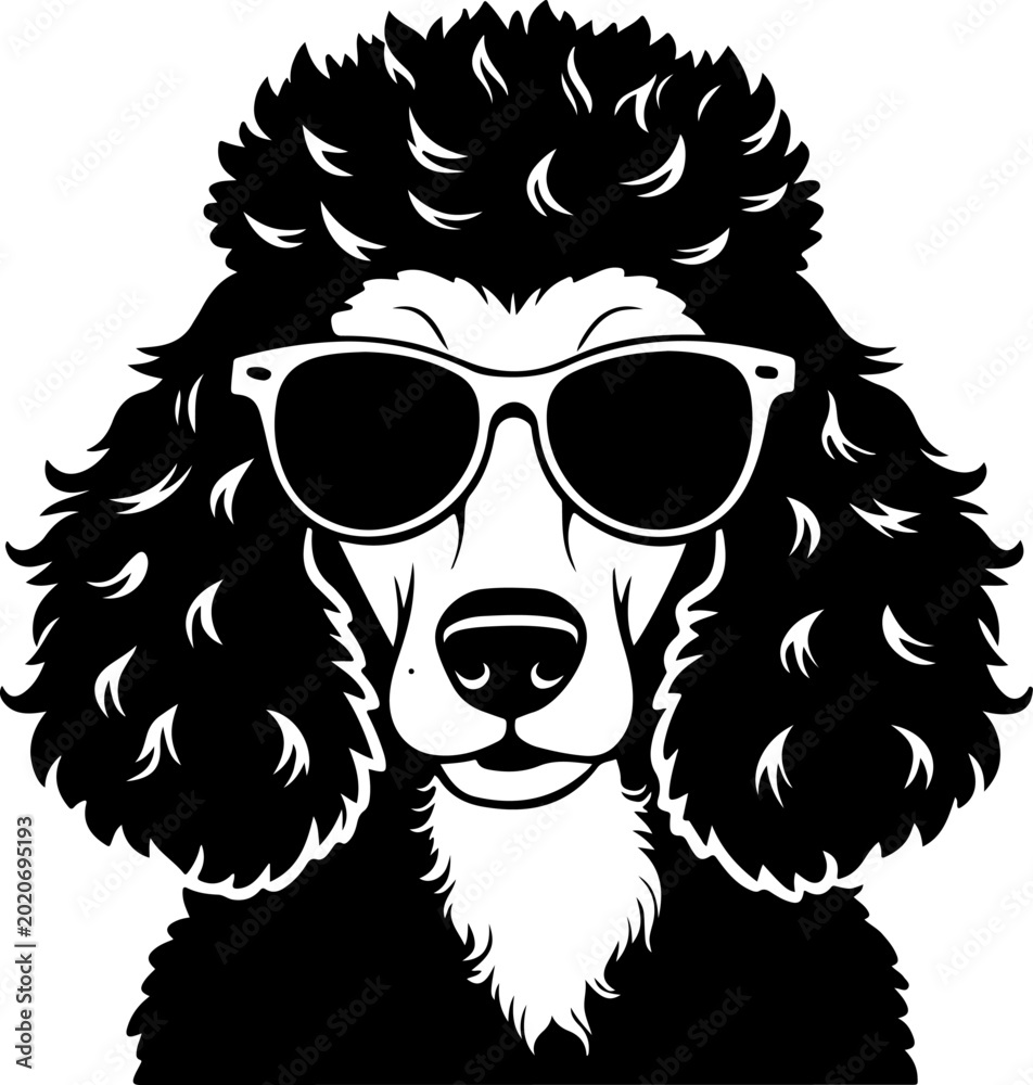 Obraz premium Poodle dog face with trendy sunglasses