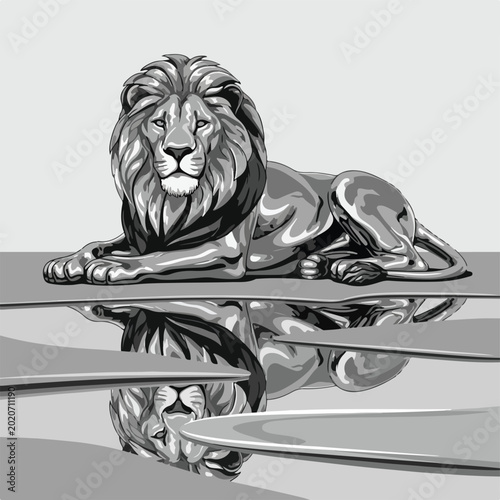 Lion resting on reflective surface with mirror image