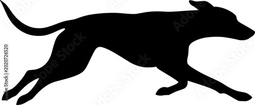 Professional Modern Running Dog Silhouette Fast Greyhound Vector Action Graphic