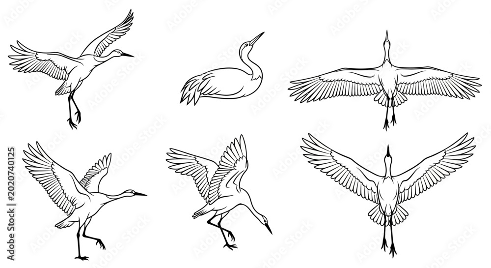 Fototapeta premium Set of graceful crane birds in flight and poses, elegant line art